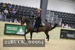 22BUCK_00964 proof