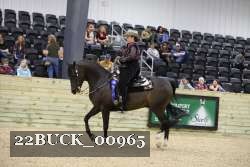 22BUCK_00965 proof