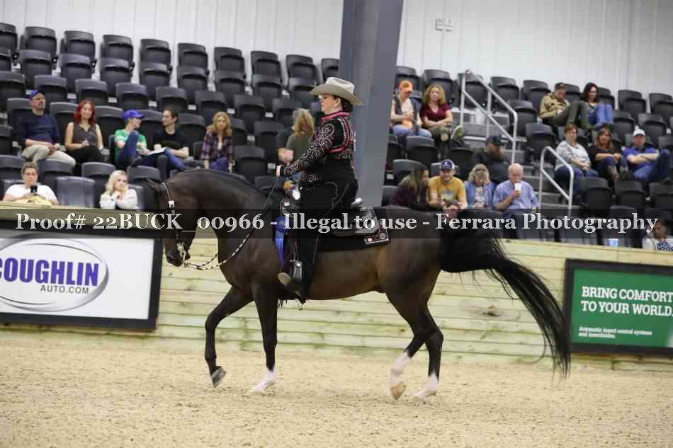 Proof 22BUCK_00966
