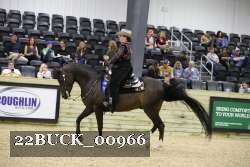 22BUCK_00966 proof