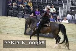 22BUCK_00968 proof