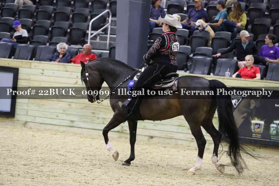 Proof 22BUCK_00969