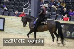22BUCK_00969 proof