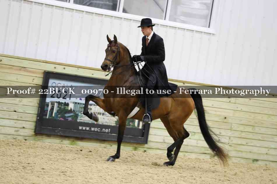 Proof 22BUCK_00970