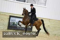 22BUCK_00970 proof