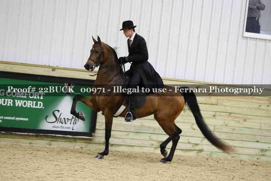 Proof 22BUCK_00971