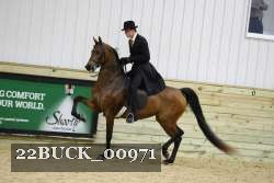 22BUCK_00971 proof