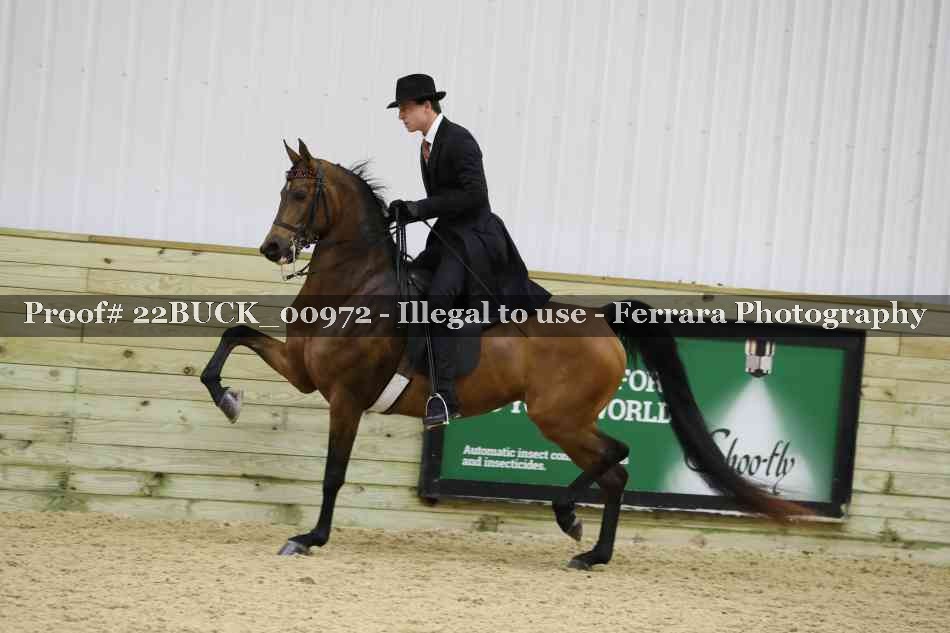 Proof 22BUCK_00972