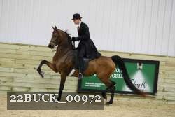 22BUCK_00972 proof