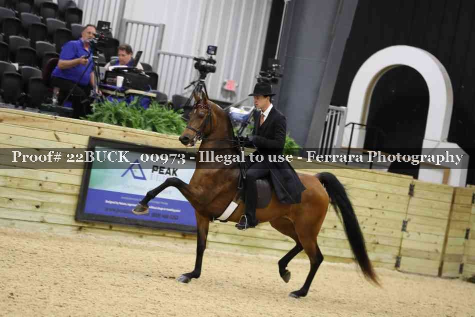 Proof 22BUCK_00973
