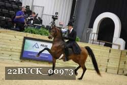 22BUCK_00973 proof