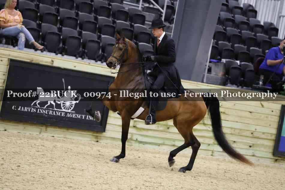 Proof 22BUCK_00974