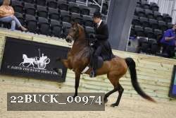 22BUCK_00974 proof