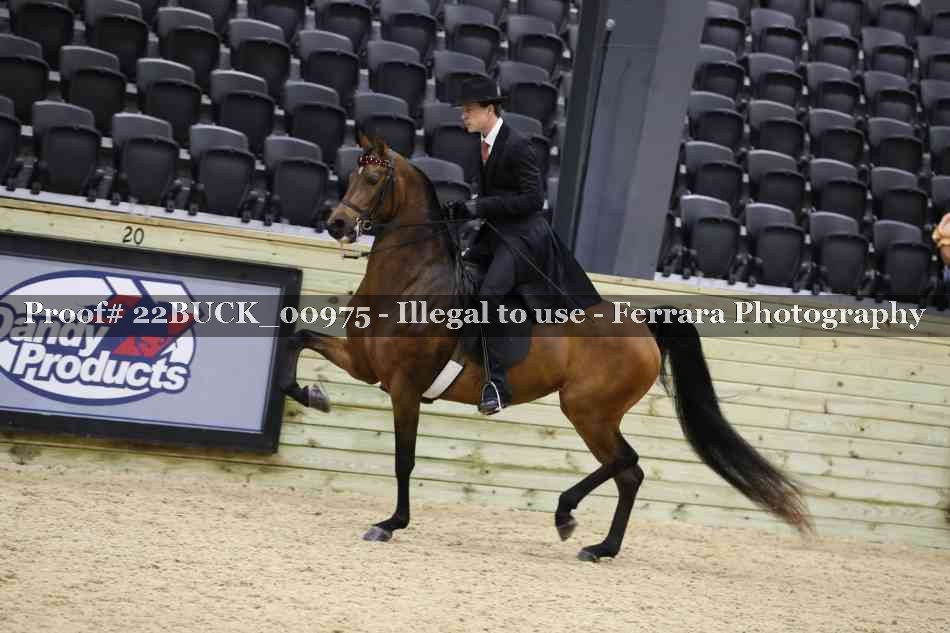 Proof 22BUCK_00975