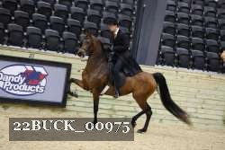 22BUCK_00975 proof