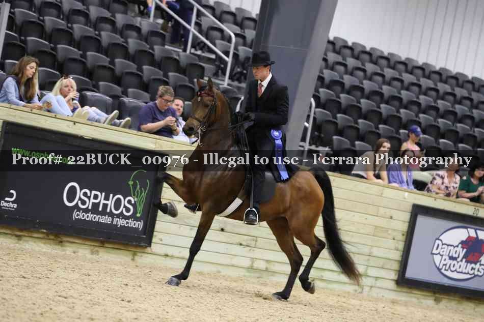 Proof 22BUCK_00976