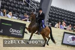 22BUCK_00976 proof