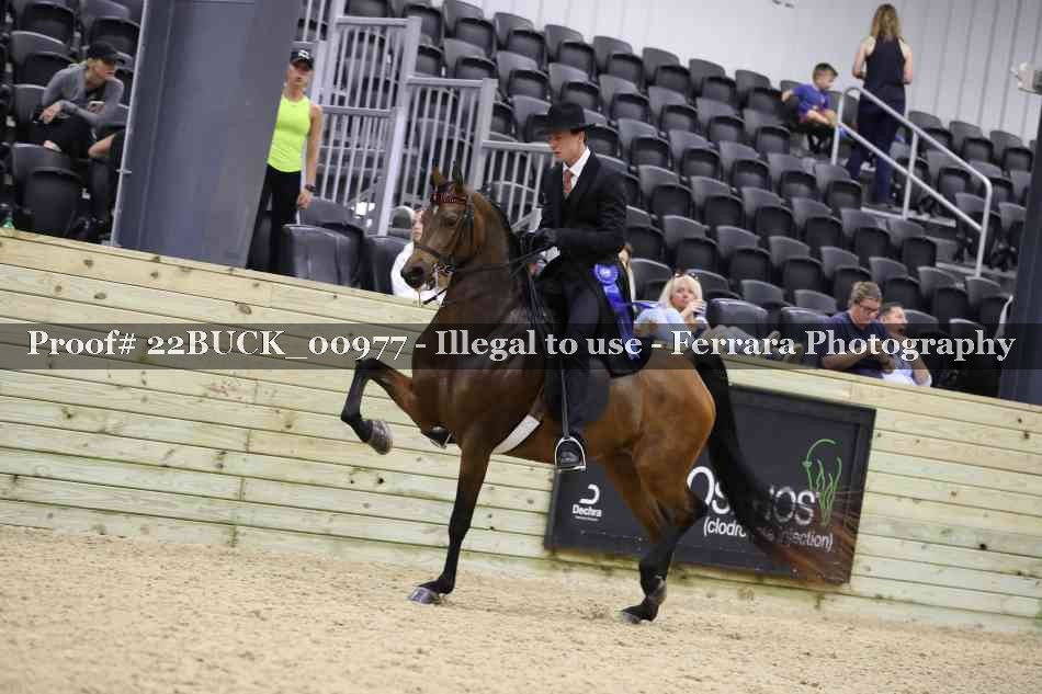 Proof 22BUCK_00977