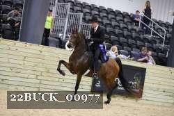 22BUCK_00977 proof