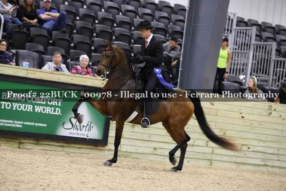 Proof 22BUCK_00978