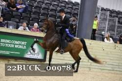 22BUCK_00978 proof