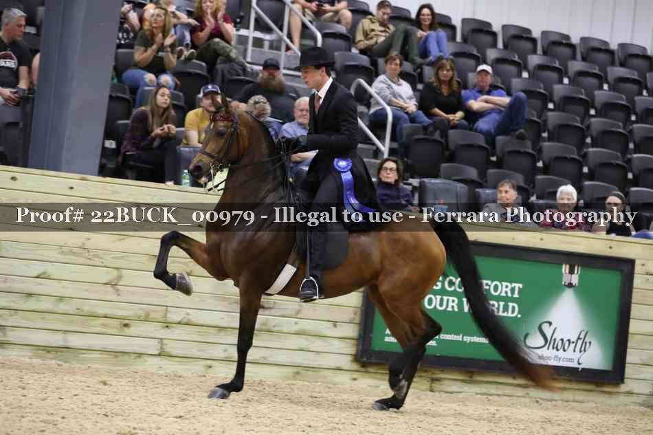 Proof 22BUCK_00979