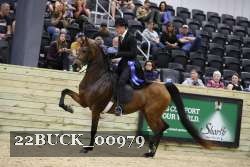 22BUCK_00979 proof