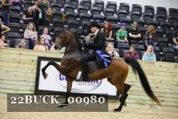 22BUCK_00980 proof