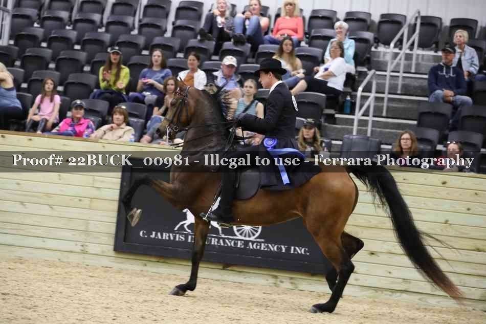 Proof 22BUCK_00981