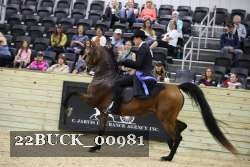 22BUCK_00981 proof