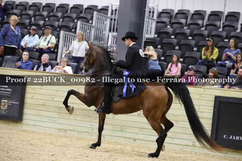 Proof 22BUCK_00982