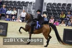22BUCK_00982 proof