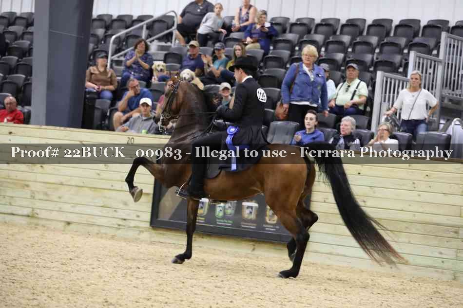Proof 22BUCK_00983