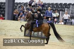 22BUCK_00983 proof