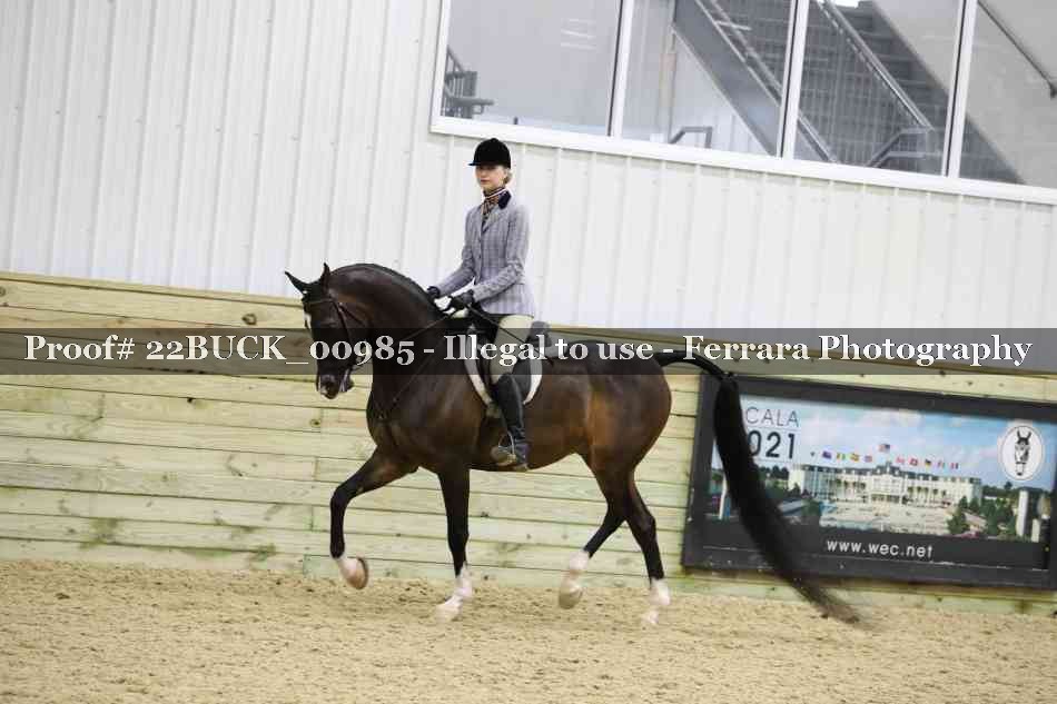 Proof 22BUCK_00985