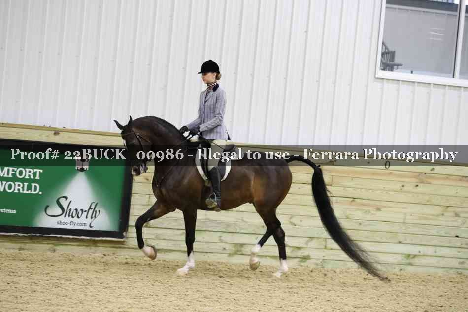 Proof 22BUCK_00986