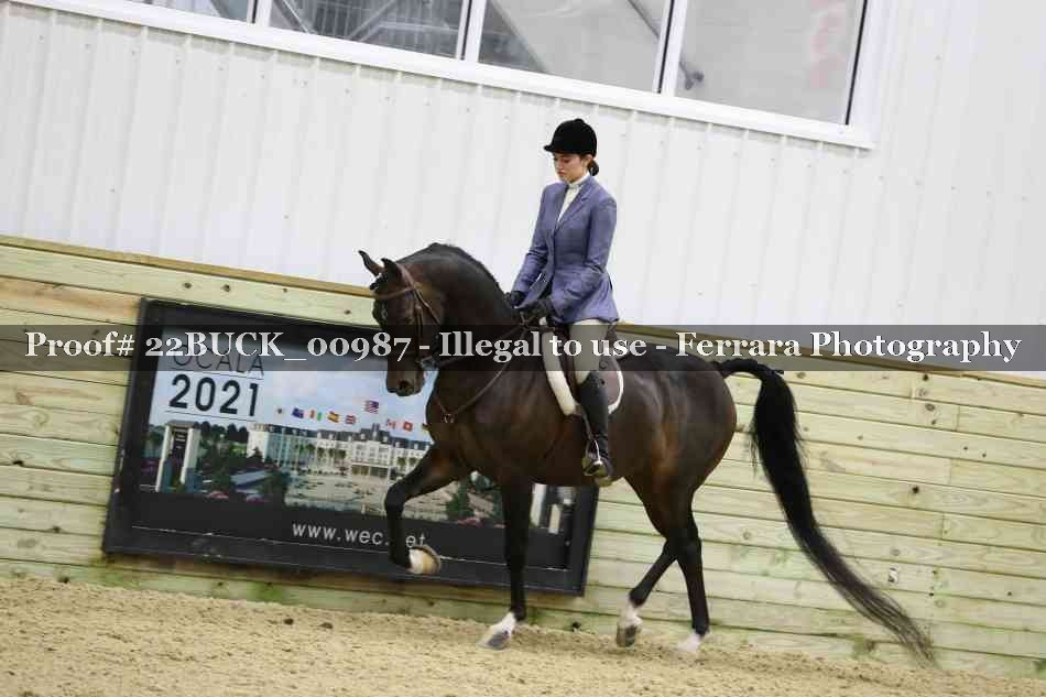 Proof 22BUCK_00987