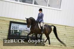 22BUCK_00987 proof