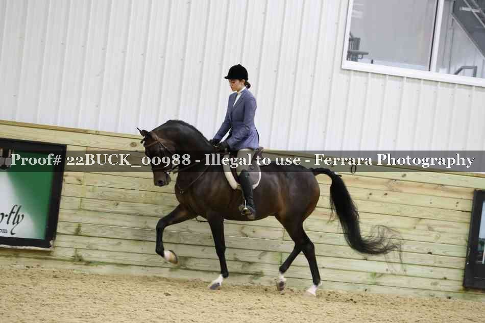 Proof 22BUCK_00988