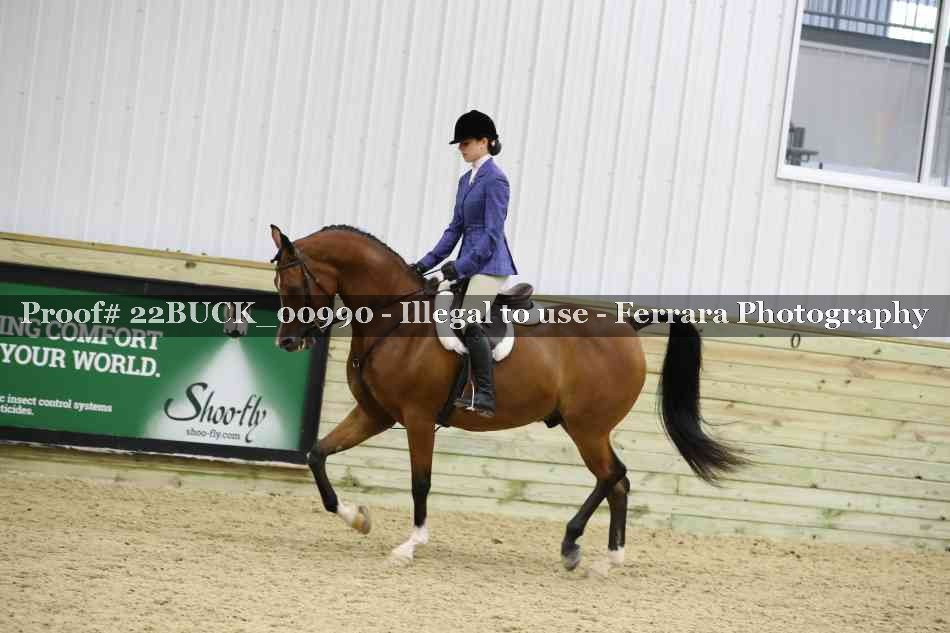 Proof 22BUCK_00990