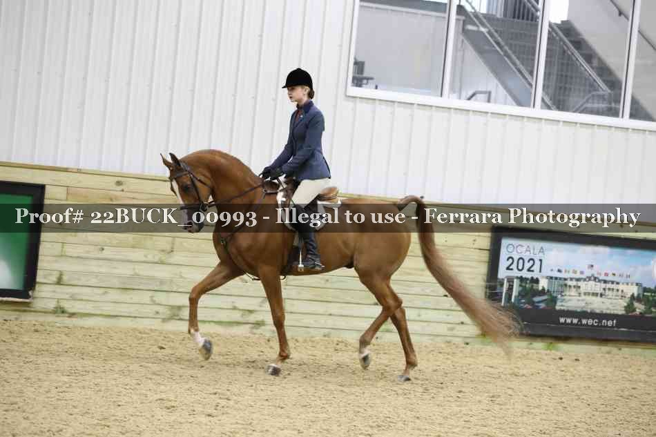 Proof 22BUCK_00993