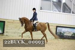 22BUCK_00993 proof