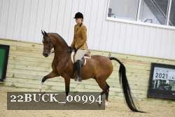 22BUCK_00994 proof