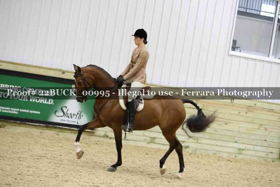 Proof 22BUCK_00995