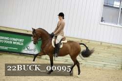 22BUCK_00995 proof