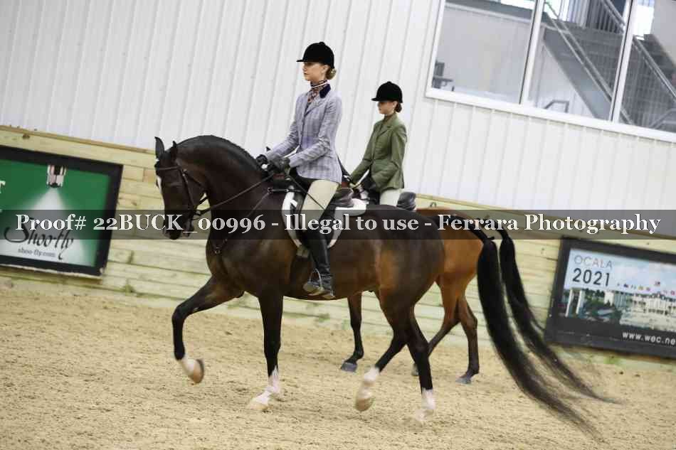 Proof 22BUCK_00996