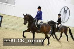 22BUCK_01000 proof