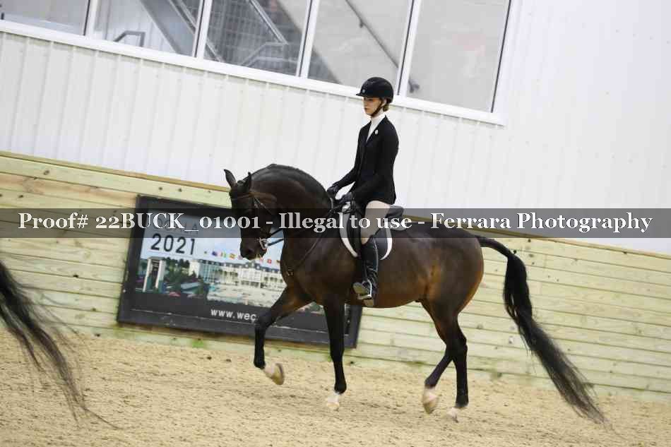 Proof 22BUCK_01001