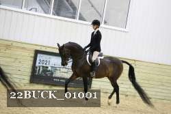 22BUCK_01001 proof