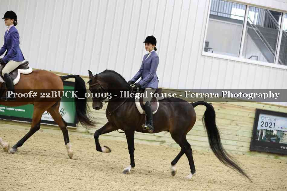Proof 22BUCK_01003